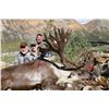 Image 1 : 8 day Moose/Caribou combo with Arctic Red River Outfitters, NWT
