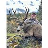 Image 1 : 2026 Oregon Statewide Deer Tag