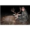Image 2 : 2026 Oregon Statewide Deer Tag