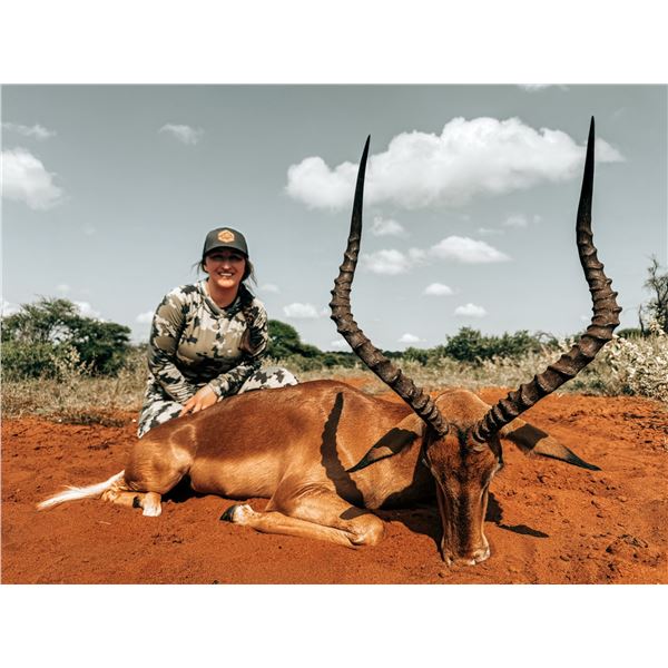 10-Day South Africa Impala Hunt for Four (4) Hunters