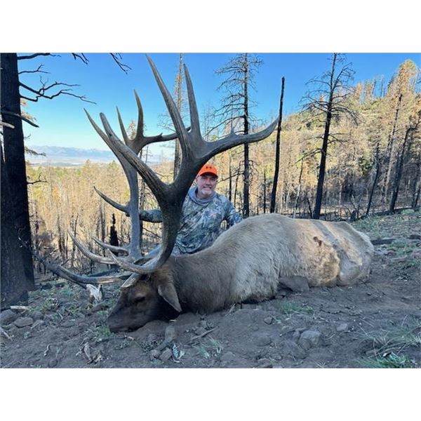 2026 Utah Statewide Bull Elk Conservation Permit