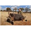 Image 3 : 10-Day ARCHERY ONLY Plains Game Hunt for Two (2) Hunters and Two (2) Observers