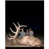 Image 5 : AZ HUALAPAI TRIBE SCHOLARSHIP ELK HUNT