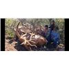 Image 6 : AZ HUALAPAI TRIBE SCHOLARSHIP ELK HUNT