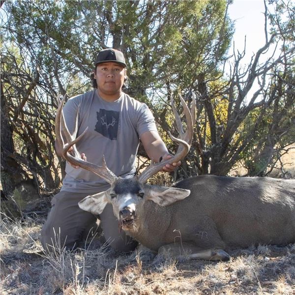AZ HUALAPAI TRIBE TROPHY MULE DEER HUNT
