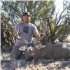 Image 1 : AZ HUALAPAI TRIBE TROPHY MULE DEER HUNT