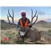 Image 1 : 2026 Antelope Island Mule Deer Conservation Permit