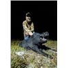 Image 3 : 3-day South Florida Grand Slam Hunt Whitetail Deer, Alligator, Turkey, and Hog Hunt for One Hunter (