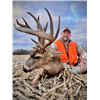 Image 1 : 3-day Illinois Muzzleloader Northeastern White-tailed Deer Hunt for Two Hunters