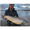 Image 1 : 3-day Iceland Trout and Arctic Char Fishing Adventure for One Angler