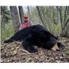 Image 3 : 5-day Saskatchewan Black Bear Hunt and Northern Pike Fishing Trip for One Hunter and One Non-Hunter