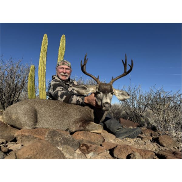 5-day Mexico Baja Black-tailed Deer Hunt for One Hunter