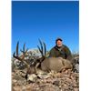 Image 2 : 5-day Mexico Baja Black-tailed Deer Hunt for One Hunter