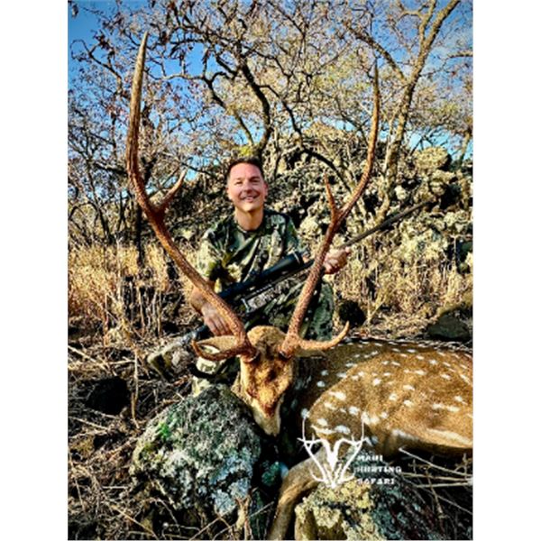 2.5-day Hawaii Free-range Trophy Axis Buck and Doe (Two) Hunt for One Hunter