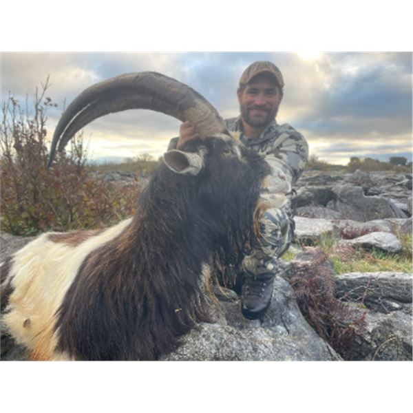 5-day Ireland Wild Irish Goat Hunt for One Hunter and One Non-hunter