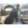 Image 1 : 5-day Ireland Wild Irish Goat Hunt for One Hunter and One Non-hunter