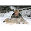 Image 1 : 5-day British Columbia Guided Trapping Experience for One Hunter