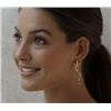 Image 3 : Luxurious Diamond and Gold Kudu Earrings