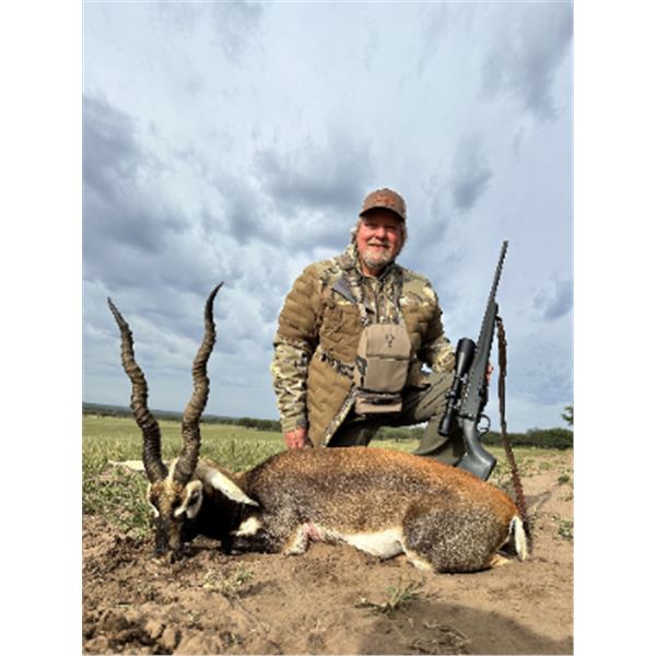 5-day/6-night Argentina BlackBuck and Hybrid (Texas Dall) Hunt for Two Hunters