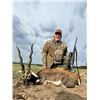 Image 1 : 5-day/6-night Argentina BlackBuck and Hybrid (Texas Dall) Hunt for Two Hunters