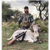 Image 4 : 5-day/6-night Argentina BlackBuck and Hybrid (Texas Dall) Hunt for Two Hunters