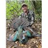 Image 2 : 5-day Campeche Jungle Ocellated Turkey Hunt for One Hunter
