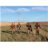Image 1 : 1-day South Dakota Ringneck Pheasant Hunt for Four Hunters