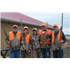 Image 4 : 1-day South Dakota Ringneck Pheasant Hunt for Four Hunters