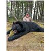 Image 4 : 5-day Newfoundland Black Bear Hunt for One Hunter
