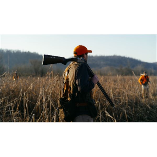 2-day Alabama Bobwhite Quail Hunt for Four Hunters