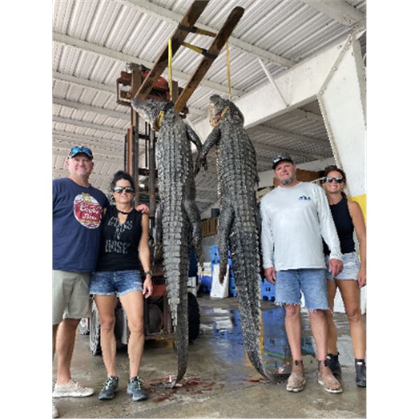 1-day Louisiana Trap Line Alligator Hunt for Two Hunters