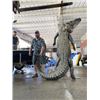 Image 2 : 3-day/2-night Louisiana Trap Line Alligator Hunt for Two Hunters *Update*