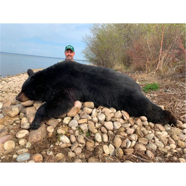 6-day Alberta Black Bear Hunt for One Hunter and One Non-hunter