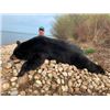 Image 1 : 6-day Alberta Black Bear Hunt for One Hunter and One Non-hunter