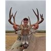Image 1 : 3-day Texas Silver Medal Whitetail Deer Hunt for One Hunter and One Non-hunter
