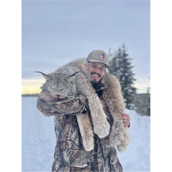 5-day British Columbia Canadian Lynx Hunt for One Hunter