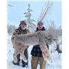 Image 2 : 5-day British Columbia Canadian Lynx Hunt for One Hunter