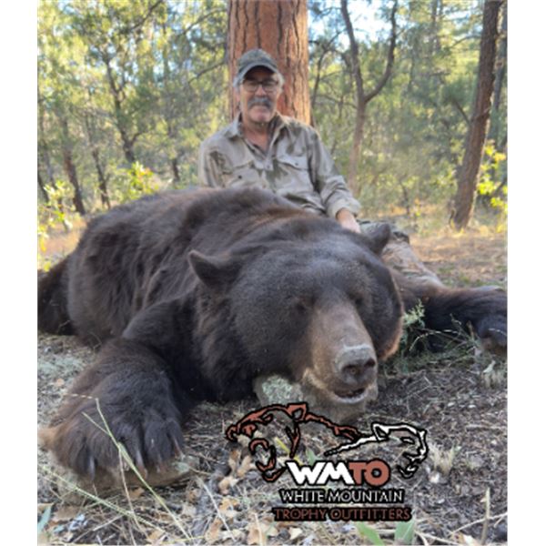 5-day Arizona Black Bear Hunt for One Hunter