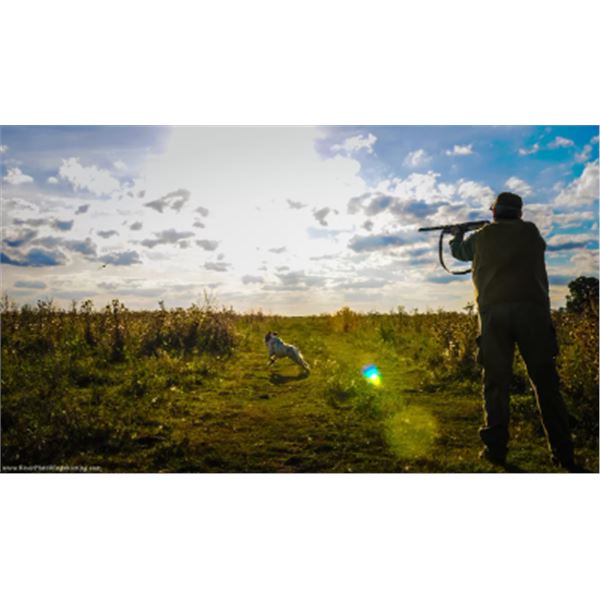 4-day/3-night Uruguay Pigeon, Dove and Partridge Hunt for Two Hunters