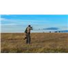 Image 2 : 4-day/3-night Uruguay Pigeon, Dove and Partridge Hunt for Two Hunters