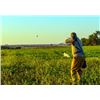 Image 3 : 4-day/3-night Uruguay Pigeon, Dove and Partridge Hunt for Two Hunters