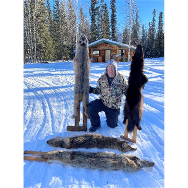 5-day Yukon Trapline Adventure for One Trapper