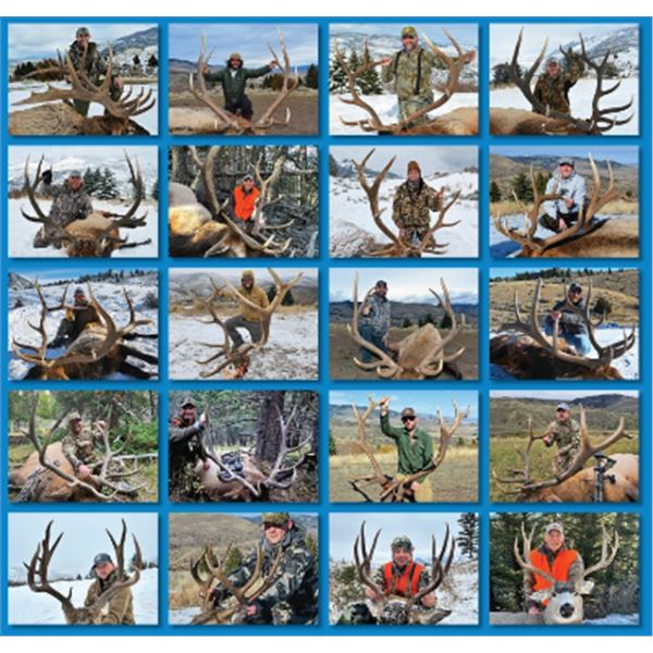 5-day Montana Rocky Mountain Elk and Deer Hunt for One Hunter