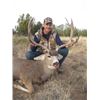 Image 1 : 3-day/4-night New Mexico Desert Mule Deer Hunt for One Hunter
