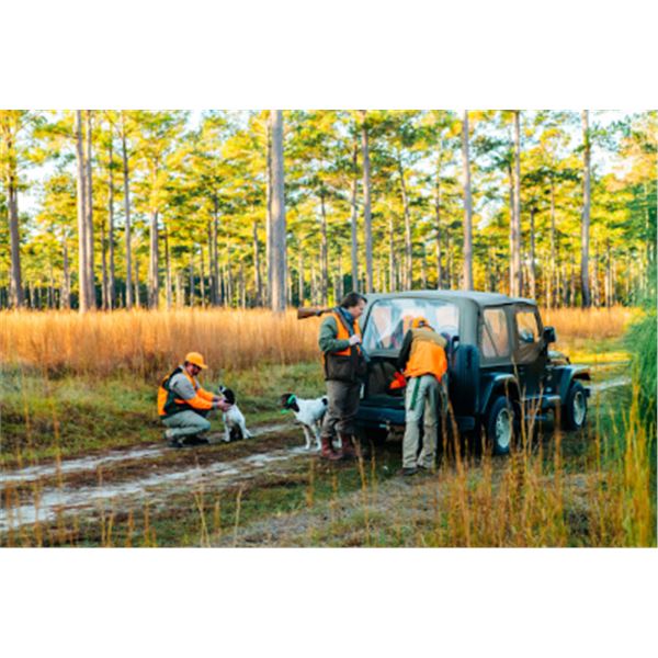2-half day/3-night South Carolina Quail Shoot for Two Hunters
