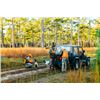 Image 1 : 2-half day/3-night South Carolina Quail Shoot for Two Hunters