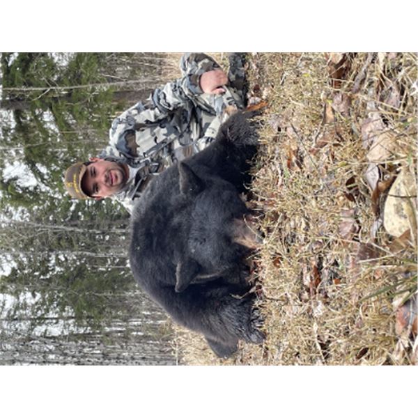6-day Alberta Black Bear and Canadian Geese Hunt for One Hunter and One Non Hunter