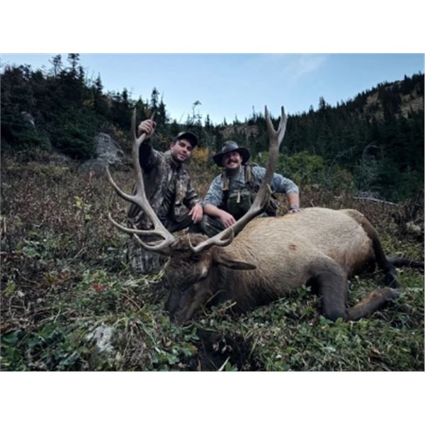 5-day British Columbia Archery Elk Hunt for One Hunter