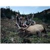 Image 1 : 5-day British Columbia Archery Elk Hunt for One Hunter