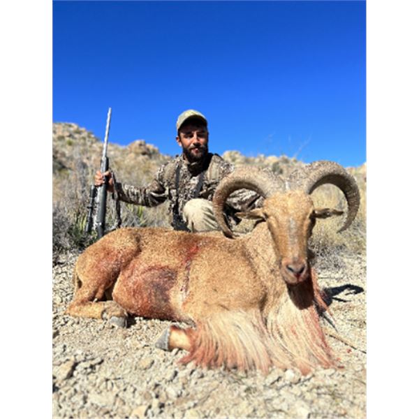 3-day Mexico Aoudad hunt for One Hunter